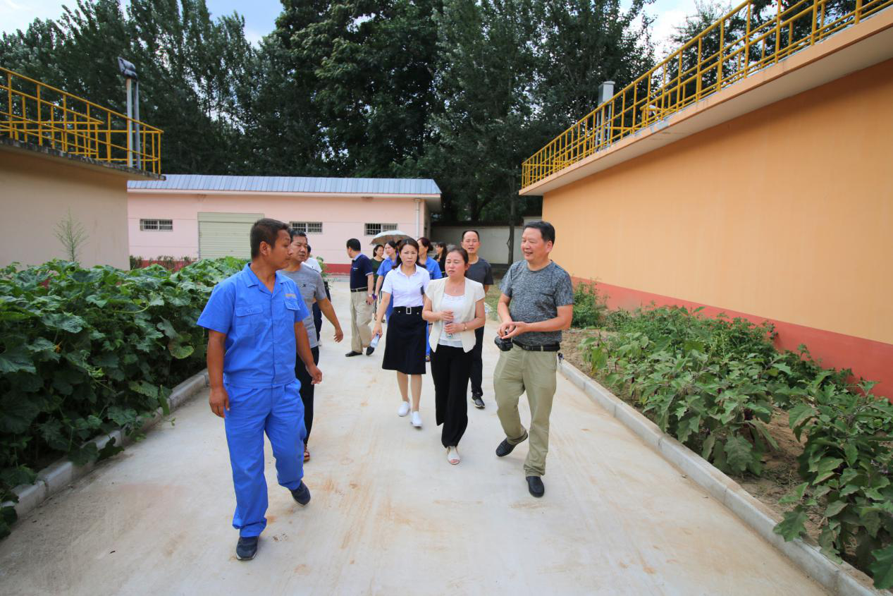 省爱卫办病媒生物防治专家组到水情形公司丹凤县污水处置惩罚厂检查事情 省爱卫办病媒生物防治专家组到水情形公司丹凤县污水处置惩罚厂检查事情