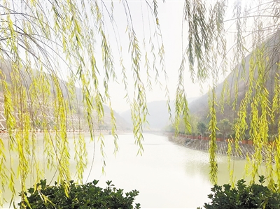 йαػشˮɽ365ŽΪȾεͷ