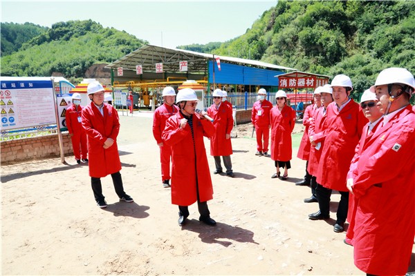 365ŸĿĦۻְԱ߽¡̬ͭĿ