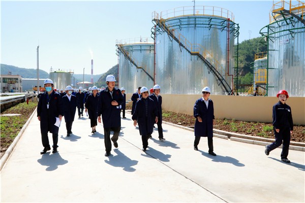 365ŸĿĦۻְԱ߽¡̬ͭĿ