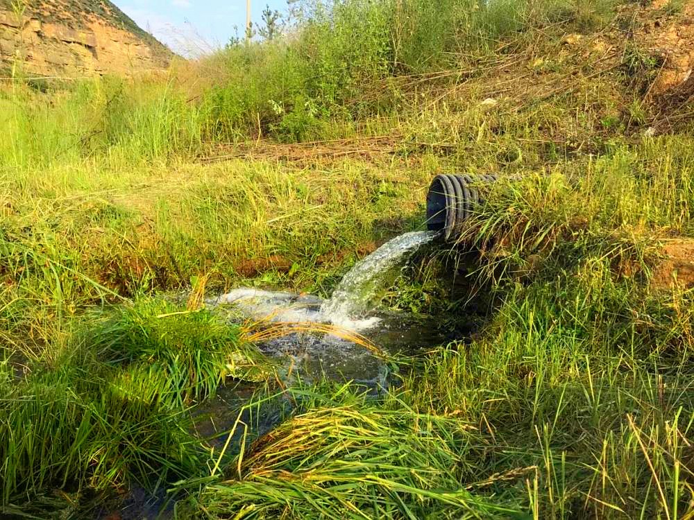 »ɫŷš365Ŷ๤ҵӮȾιս